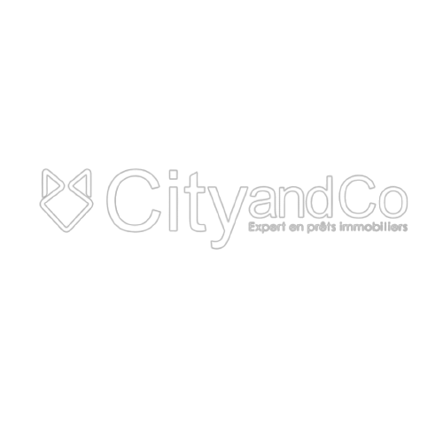 CITY AND CO 