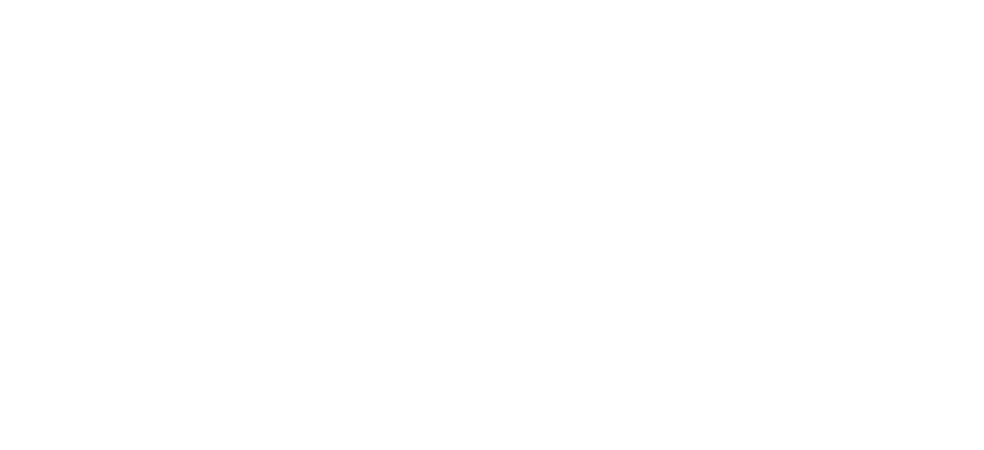 geodis 