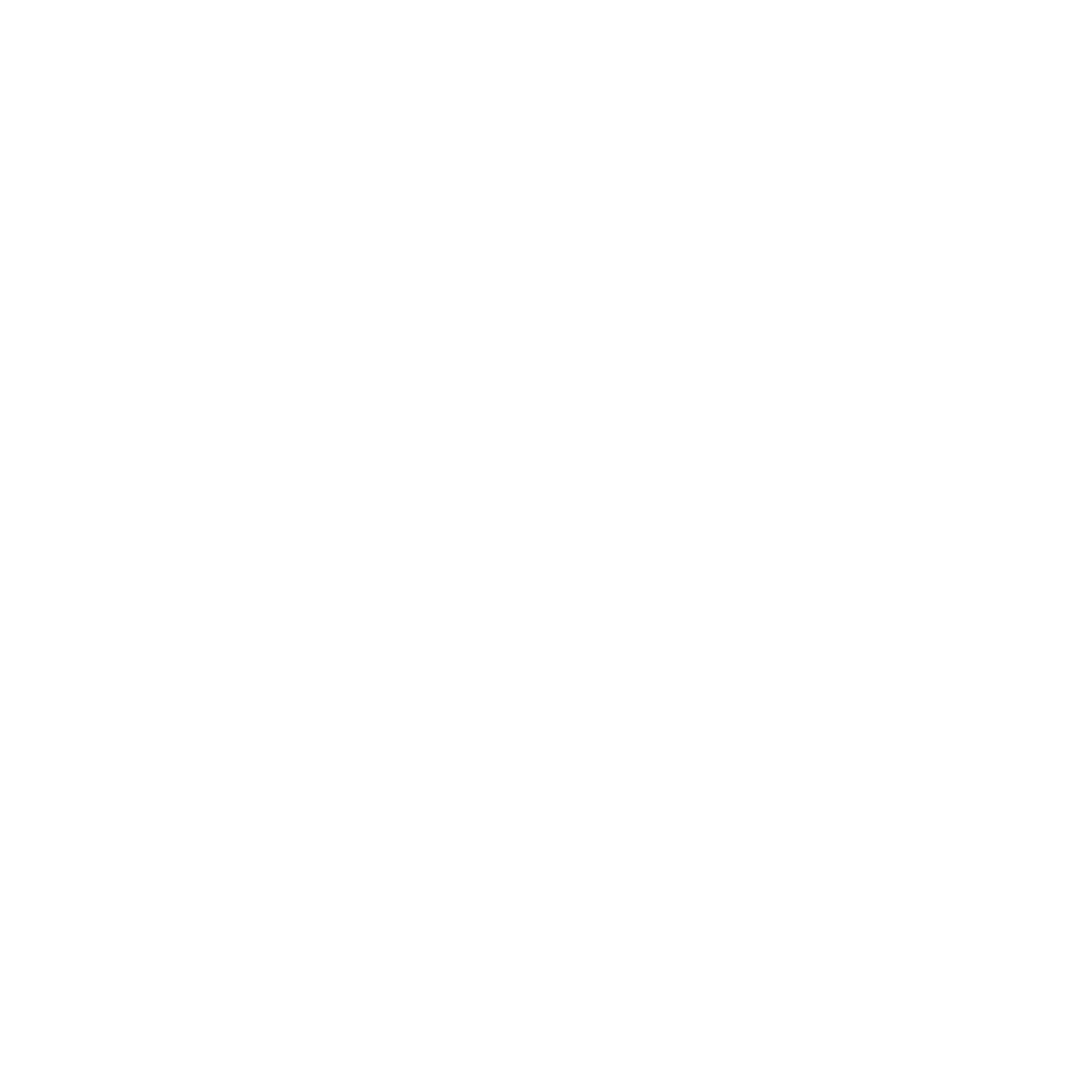 LES BATEAUX BORDELAIS 